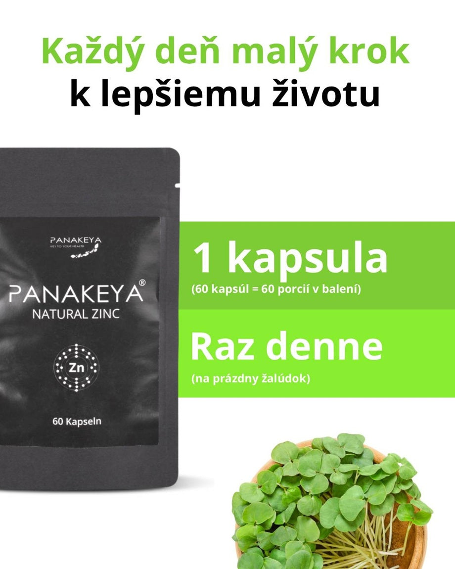 PANAKEYA Natural Zinc