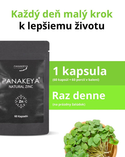PANAKEYA Natural Zinc
